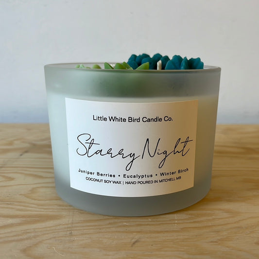 Starry Nights Succulent Candle