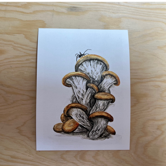 Mushrooms Post Card