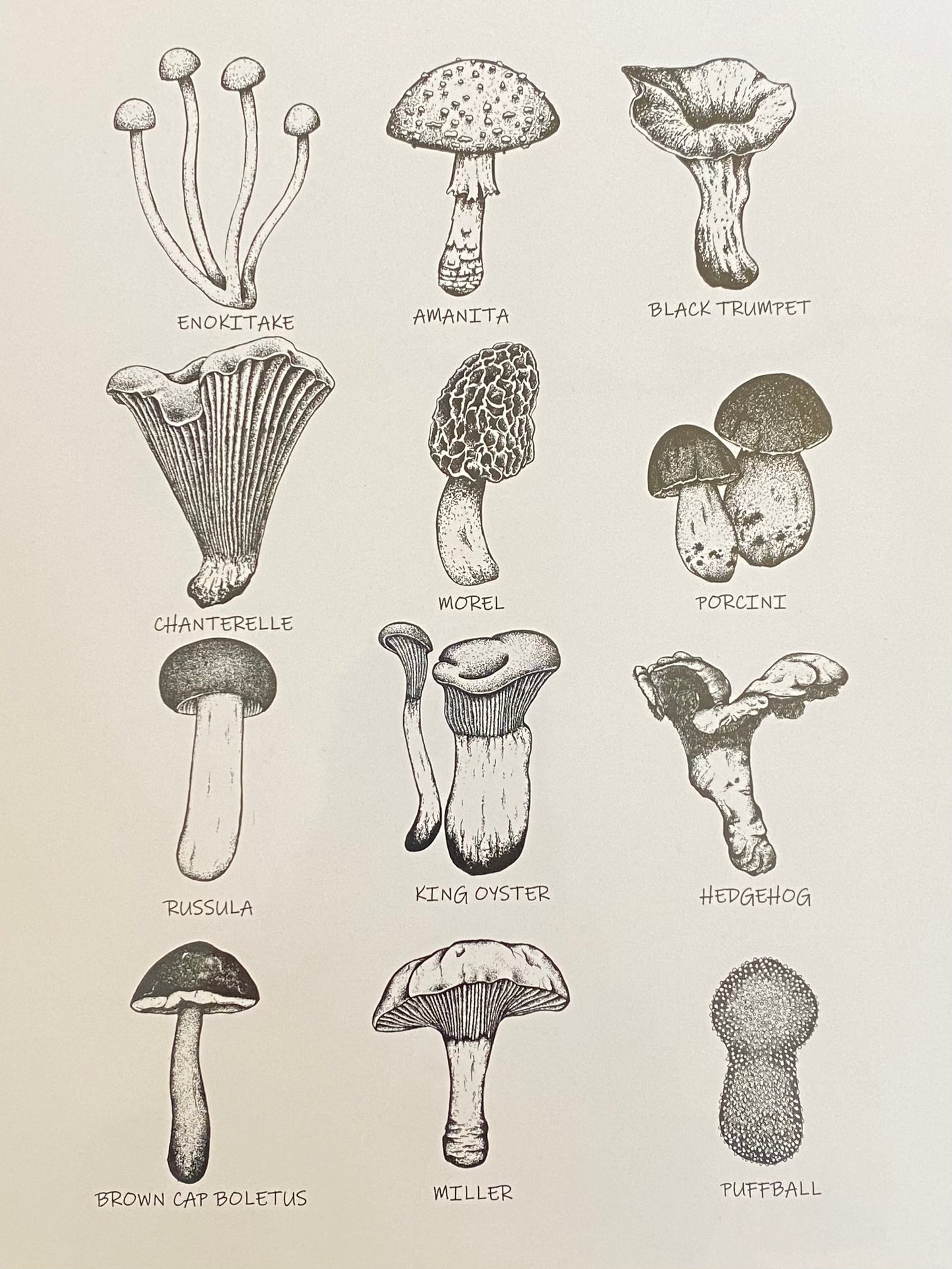 Mushroom Print