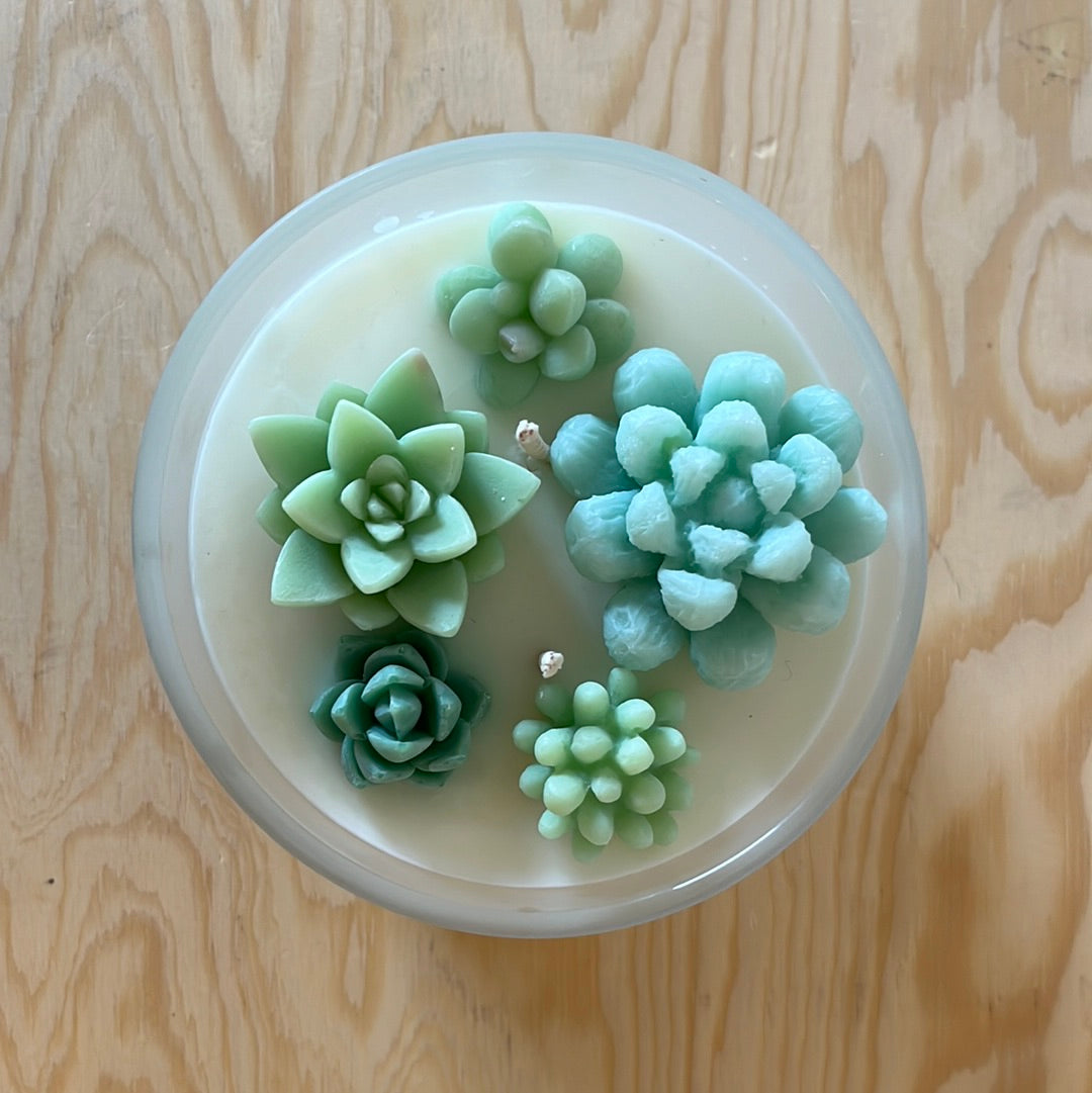 Citrus Balsam Succulent Candle
