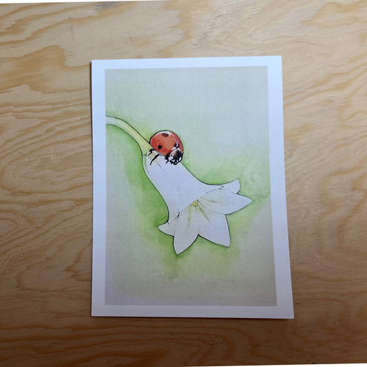 Lady Bug Post Card